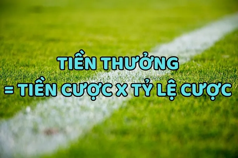 Nắm rõ cách tính tiền sẽ giúp bạn chơi kèo tài xỉu 1.75 dễ dàng hơn